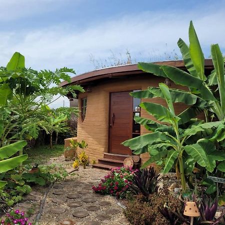 Вилла Eco Loft Maymuna: Seu Loft Ecologico Pertinho Da Praia Порту-ди-Педрас Экстерьер фото